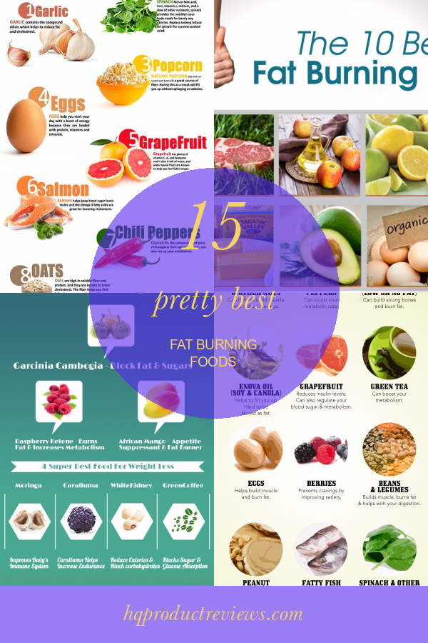 15 Pretty Best Fat Burning Foods Best Product Reviews